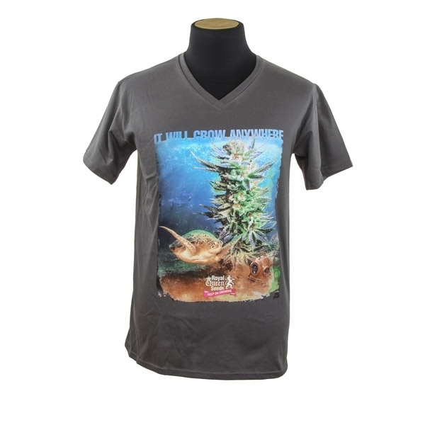 Royal Queen Seeds T-shirt Turtle Royal Queen Seeds T-shirt Turtle