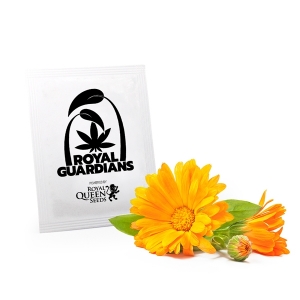 Marigold Royal Guardians Marigold Royal Guardians