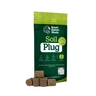 Soil Plugs