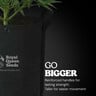 Stoffen Plantenpot Pro