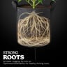 Stoffen Plantenpot Pro