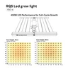 RQS LED-kweeklamp 450 W