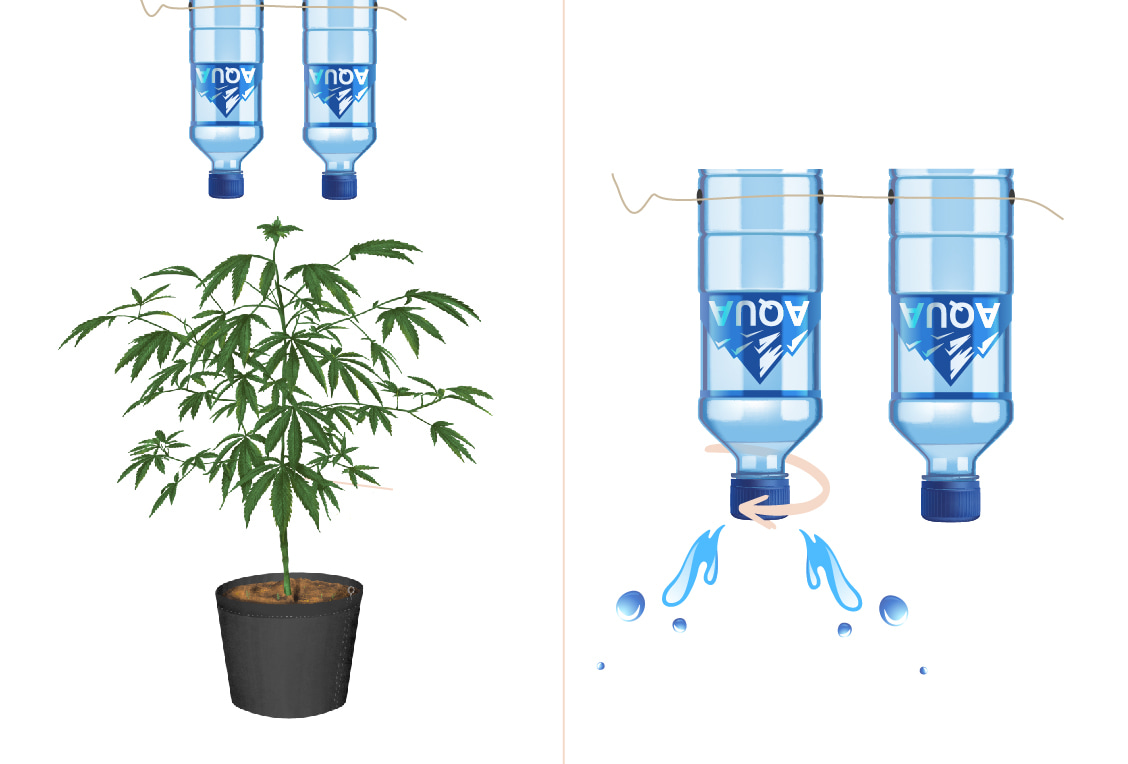Zelf een Druppelirrigatiesysteem Bouwen voor de Kweek van Wiet Zelf een Druppelirrigatiesysteem Bouwen voor de Kweek van Wiet
