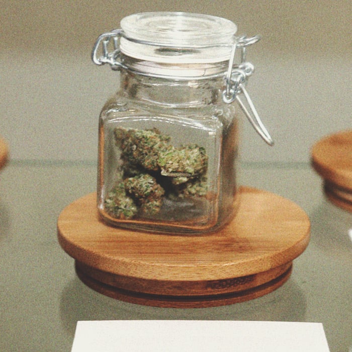 How To Detect A Moldy Weed When You’re Buying How To Detect A Moldy Weed When You’re Buying
