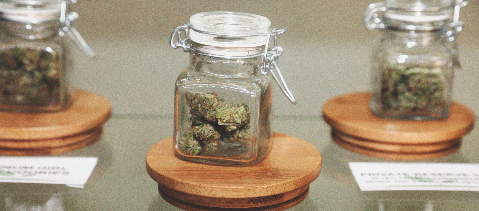 How To Detect A Moldy Weed When You’re Buying How To Detect A Moldy Weed When You’re Buying