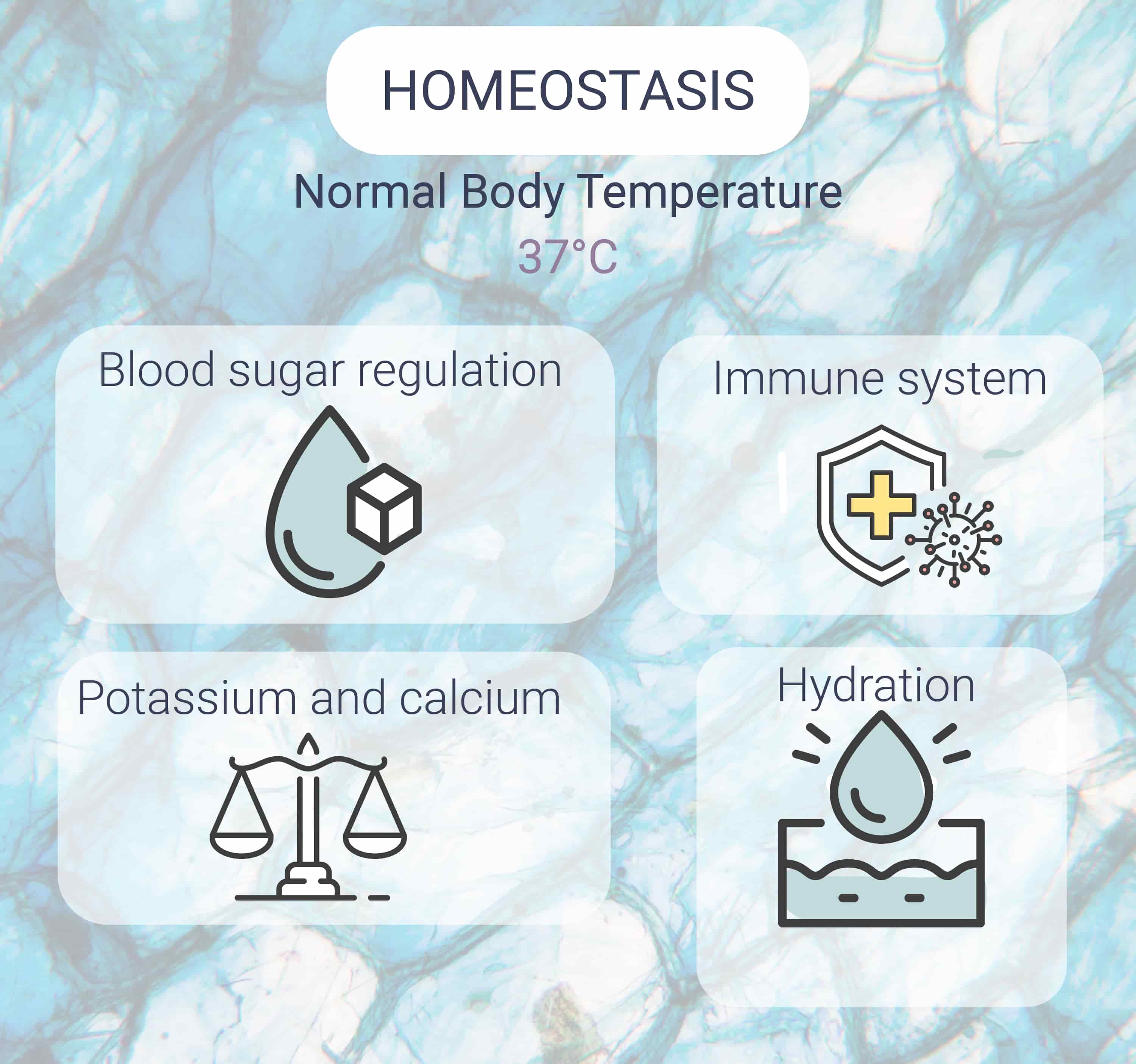 Wat is homeostase? Wat is homeostase?