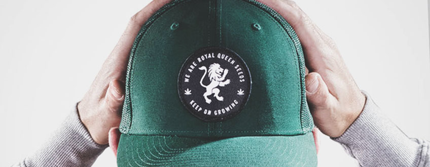 RQS Trucker Hat Een persoon die een groene honkbalpet vasthoudt met een wit leeuwlogo en de woorden