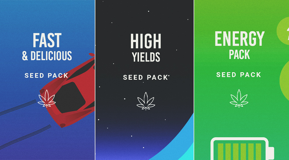 Royal Queen Seeds mix packs Royal Queen Seeds mix packs