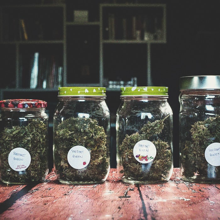 Stoner alert: beschimmelde cannabis Stoner alert: beschimmelde cannabis