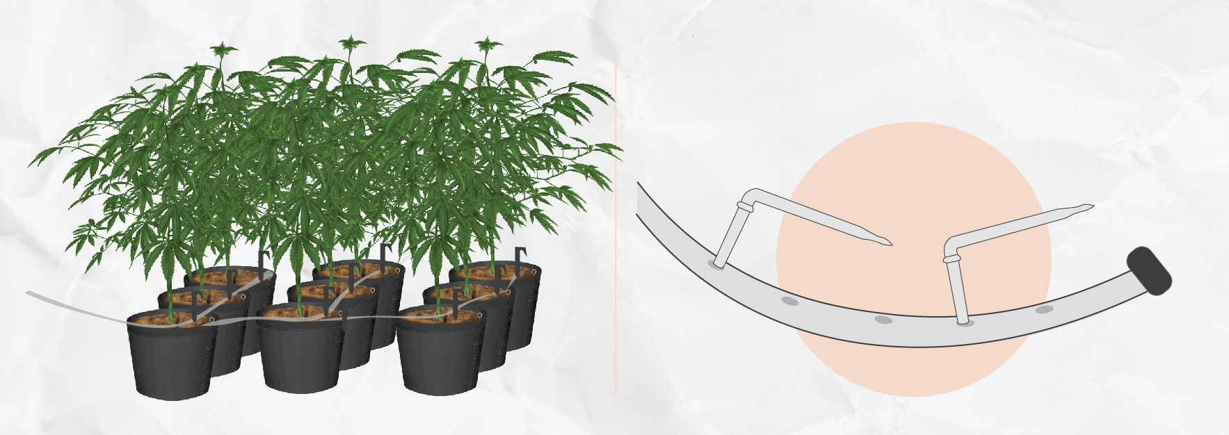 Zelf een Druppelirrigatiesysteem Bouwen voor de Kweek van Wiet Zelf een Druppelirrigatiesysteem Bouwen voor de Kweek van Wiet