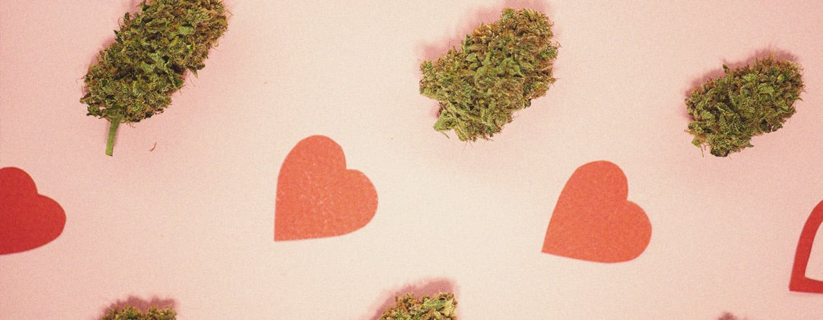 Cannabis Tolerance Breaks: The Ultimate Guide Cannabis Tolerance Breaks: The Ultimate Guide