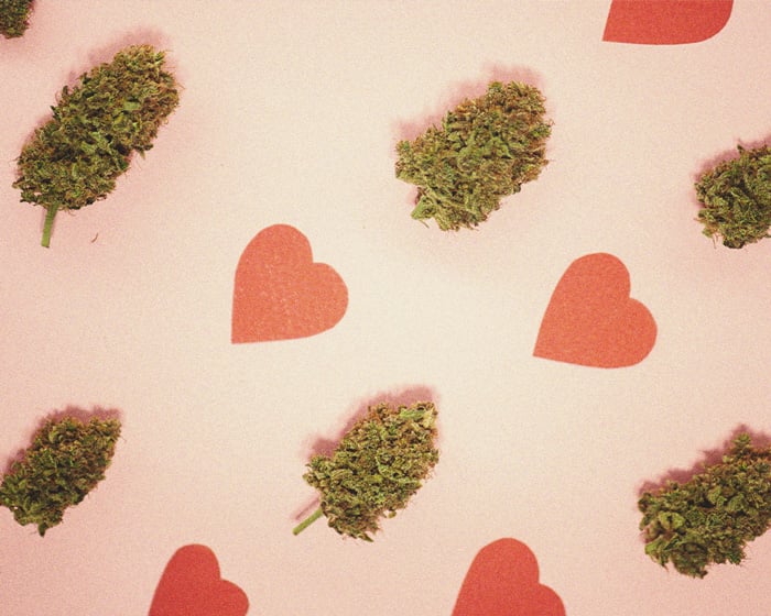 Cannabis Tolerance Breaks: The Ultimate Guide Cannabis Tolerance Breaks: The Ultimate Guide