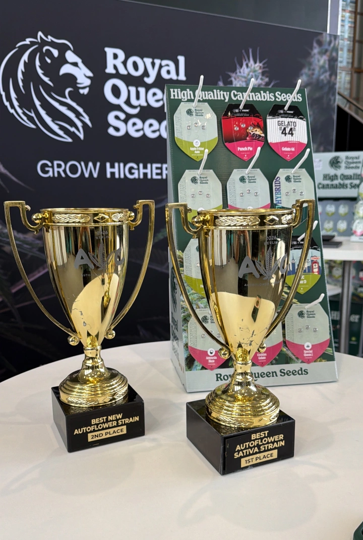 Trainwreck Auto en Gaia F1 winnen bij de Autoflower World Cup Ontdek Trainwreck Auto en Gaia F1, twee Royal Queen Seeds-soorten die zijn bekroond tijdens de Autoflower World Cup 2026.