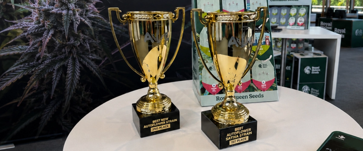 Trainwreck Auto en Gaia F1 winnen bij de Autoflower World Cup Ontdek Trainwreck Auto en Gaia F1, twee Royal Queen Seeds-soorten die zijn bekroond tijdens de Autoflower World Cup 2026.