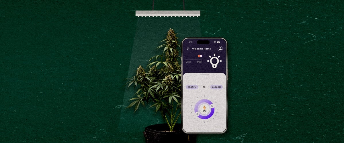 Geavanceerde Functies om te Overwegen Cannabis Een illustratie van een cannabisplant onder een growlight met een smartphone die een controle-app weergeeft, tegen een groene achtergrond, die geavanceerde functies benadrukt om te overwegen.