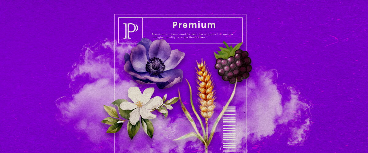 Granddaddy Purple Cannabis Soort Info Gids Een illustratie van Granddaddy Purple cannabisbloemen met diepe paarse tinten en een dichte structuur, die de dominante indica-hybride kenmerken en de zoete druifachtige geur benadrukken, tegen een groene achtergrond.