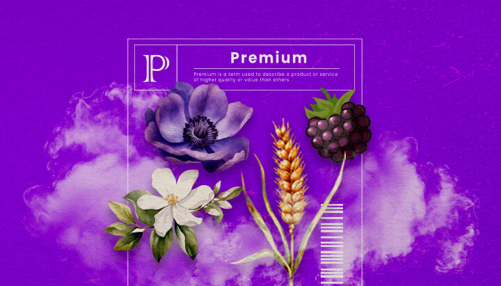 Granddaddy Purple Cannabis Soort Info Gids Een illustratie van Granddaddy Purple cannabisbloemen met diepe paarse tinten en een dichte structuur, die de dominante indica-hybride kenmerken en de zoete druifachtige geur benadrukken, tegen een groene achtergrond.