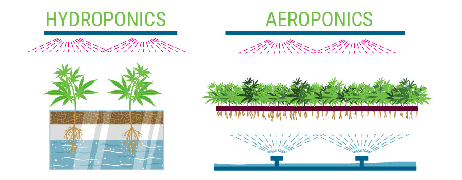 Hydrocultuur Systemen vs Aerocultuur Systemen