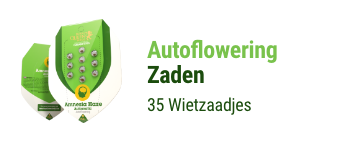 F1 Hybride Wietzaadjes