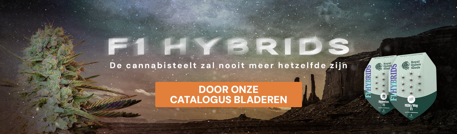 Buy F1 Hybrids Buy F1 Hybrids