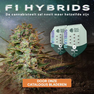 Buy F1 Hybrids Buy F1 Hybrids