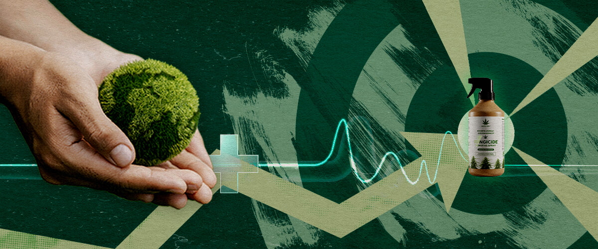 Handen die een gezonde groene bol voeden naast organisch fungicide, wat gerichte, duurzame plantbescherming met cannabisextracten vertegenwoordigt.