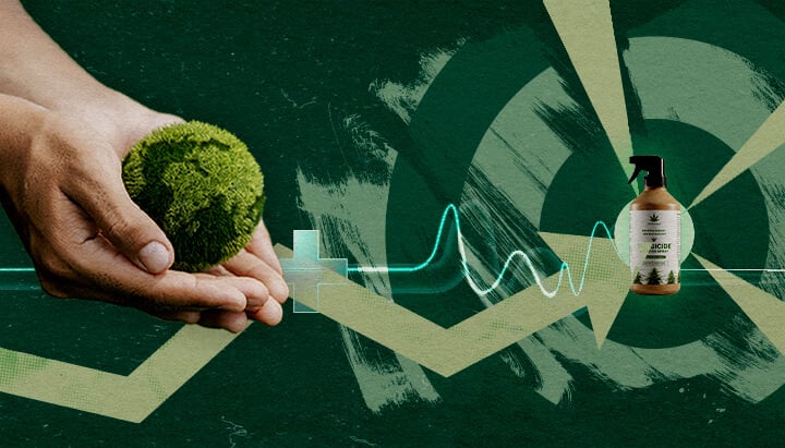 Handen die een gezonde groene bol voeden naast organisch fungicide, wat gerichte, duurzame plantbescherming met cannabisextracten vertegenwoordigt.