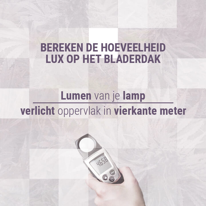 Bereken-de-hoeveelheid-lux-op-het-bladerdak