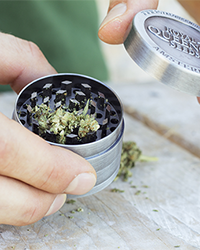 Grinder Cannabis