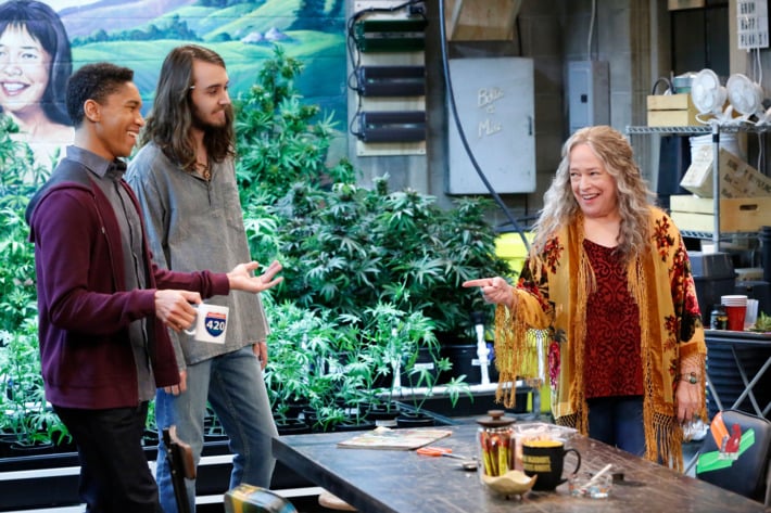 Disjointed Netflix