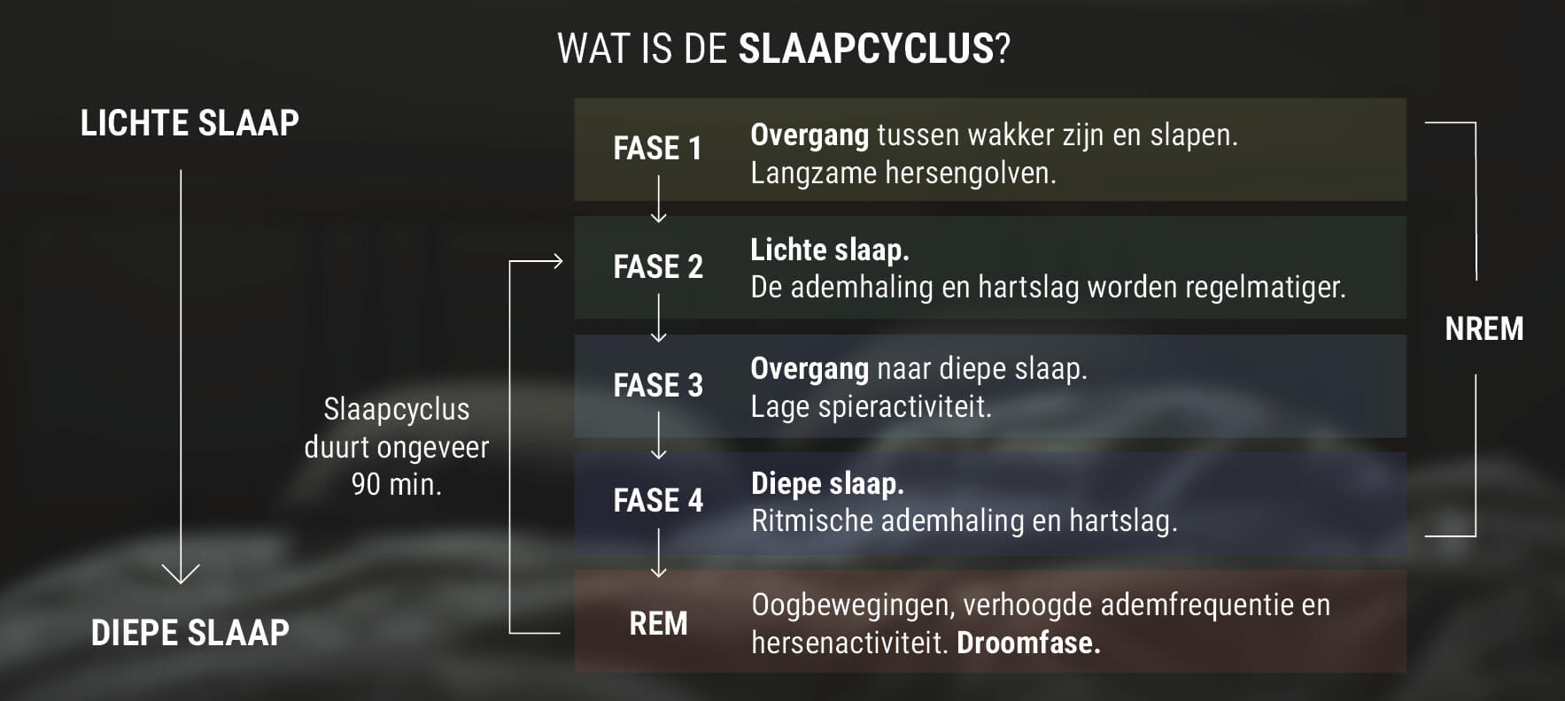 Wat is de Slaapcyclus? Wat is de Slaapcyclus?