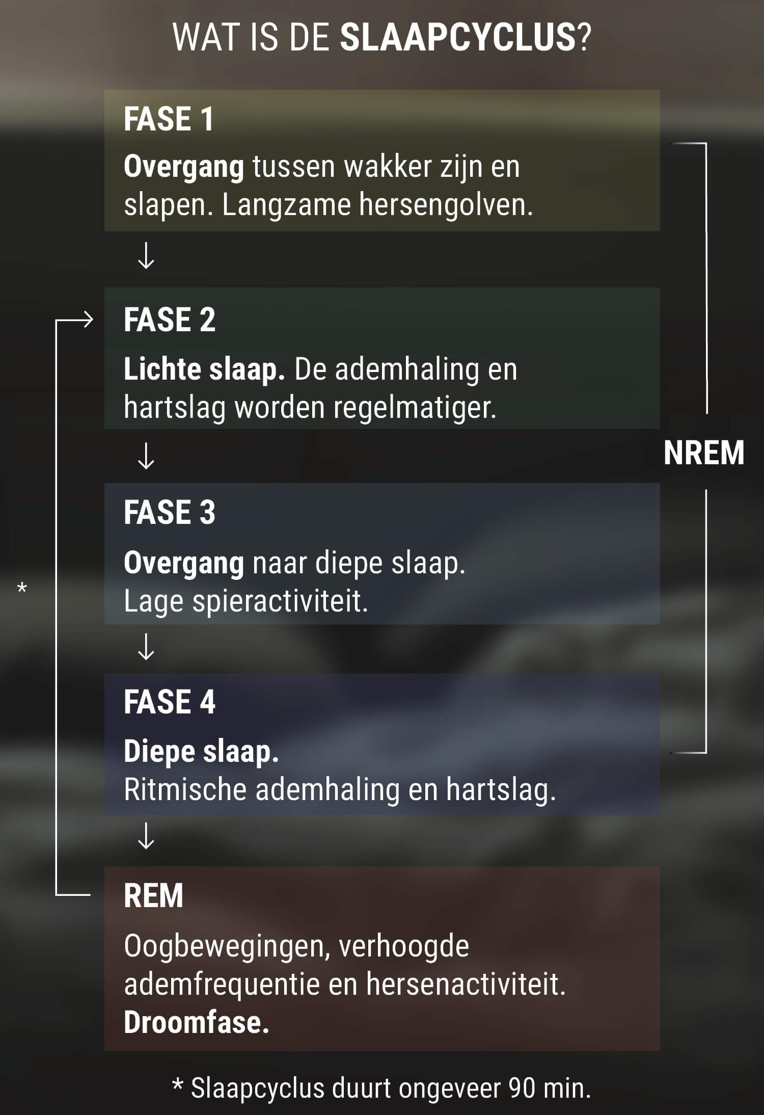 Wat is de Slaapcyclus? Wat is de Slaapcyclus?