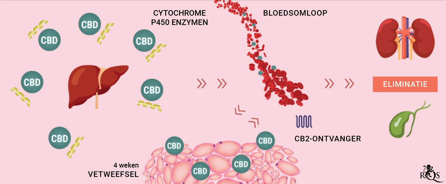 CBD Medication desktop-update-nl