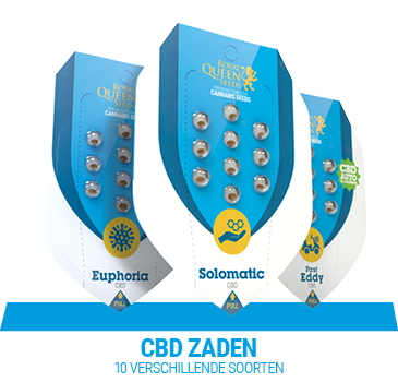 cbd-cannabis-zaden