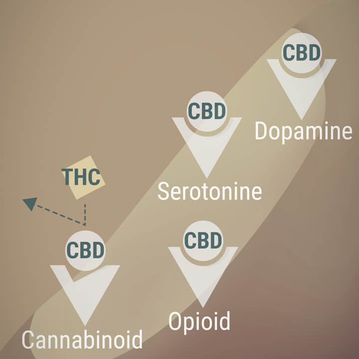 Cannabinoid, opioid, serotonin and dopamine receptors