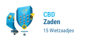 cbd-cannabis-zaden