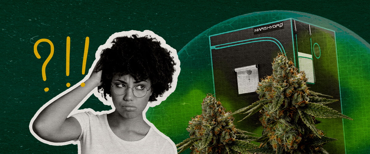 Een illustratie van cannabisbloemen met een growtent en een verwarde vrouw, tegen een groene achtergrond, die zich afvraagt of een growtent echt geurdicht kan zijn.