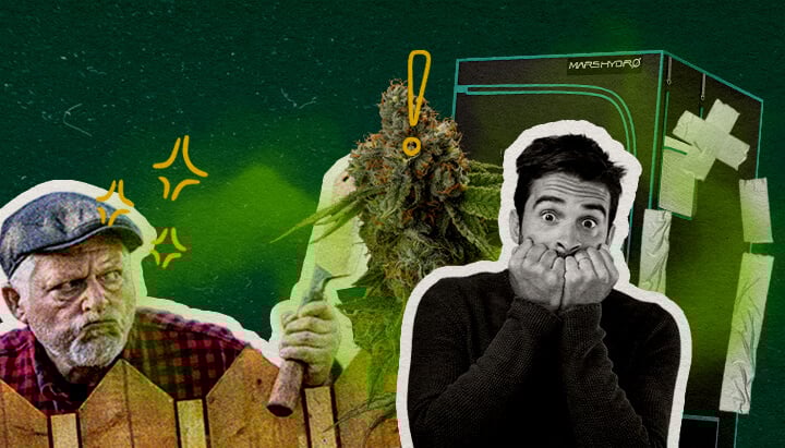 Een illustratie van cannabisbloemen met een growtent, een boze man met een bijl en een geschokte man, tegen een groene achtergrond, die veelgemaakte fouten benadrukt die de growtentgeur veroorzaken.