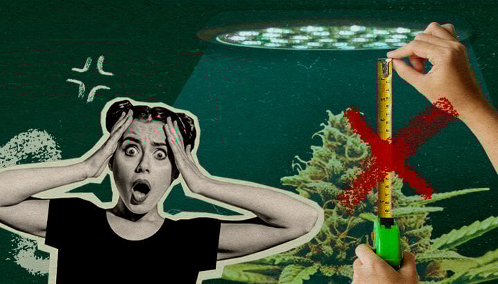 Veelgemaakte Fouten bij Lichtafstand: Lichtopstelling Afbeelding Cannabisplant met groeilicht en meetlint, toont veelgemaakte fouten bij het instellen van lichtafstand op een donkergroene achtergrond, ideaal voor cannabis kweektips.
