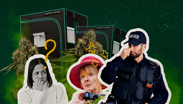 Een illustratie van cannabisbloemen met growtenten, een verwarde vrouw, een verraste vrouw met verrekijker en een politieagent, tegen een groene achtergrond, die onderzoekt of growtenten de cannabisgeur binnenhouden.