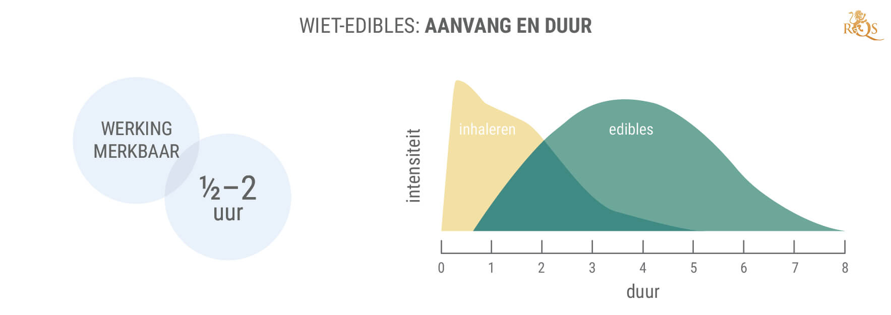 Hoelang Duren de Effecten van Edibles?