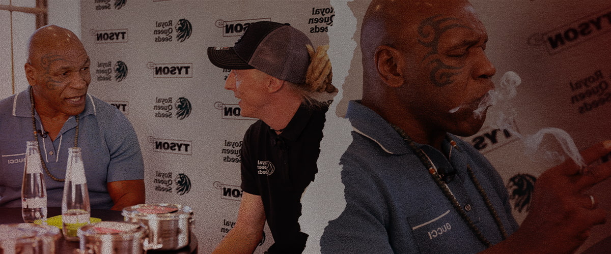 Mike Tyson en Royal Queen Seeds – Euforische gesprekken over cannabis Mike Tyson in gesprek en rokend met een vertegenwoordiger van Royal Queen Seeds, waarin hun samenwerking en euforische cannabis lifestyle centraal staan.