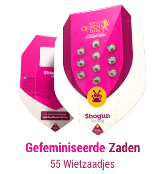 gefeminiseerde-cannabis-zaden