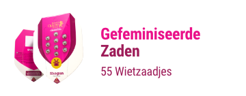 gefeminiseerde-cannabis-zaden