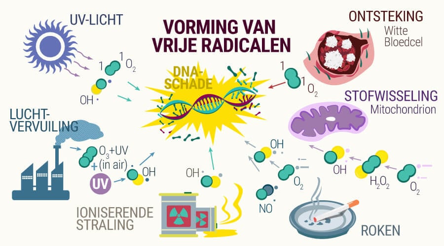 Vorming van vrije radicalen