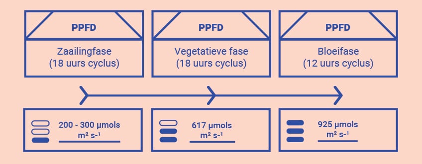 Haal met meer kennis het maximale uit je kweekruimte Haal met meer kennis het maximale uit je kweekruimte
