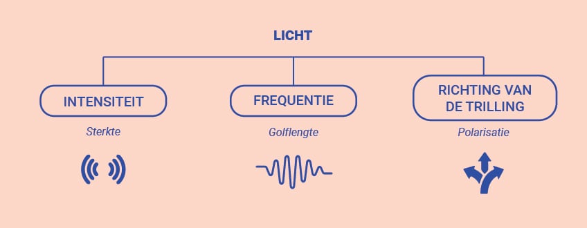 Zichtbaar licht vs. onzichtbaar licht Zichtbaar licht vs. onzichtbaar licht