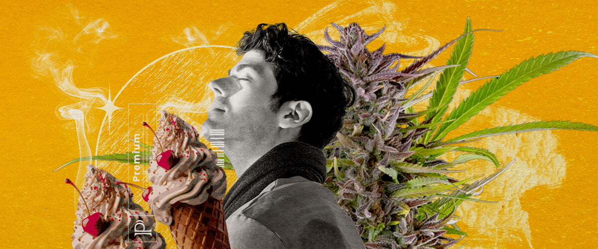Gelato: aroma's, smaak en terpenenprofiel Een illustratie van een man met gesloten ogen die rook inhaleert, omringd door een cannabisbloem en twee ijsjes met kersen, tegen een levendige gele achtergrond met abstracte rookeffecten, die visueel het smaak- en geurprofiel van de Gelato soort cannabis verkent.