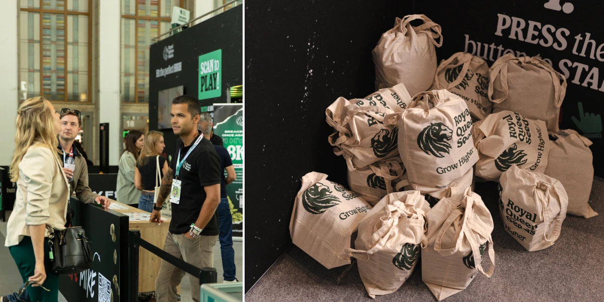 Ontdek de Royal Queen Seeds-stand met interactieve games, branded giftbags en hoogtepunten van het TYSON 2.0-evenement.