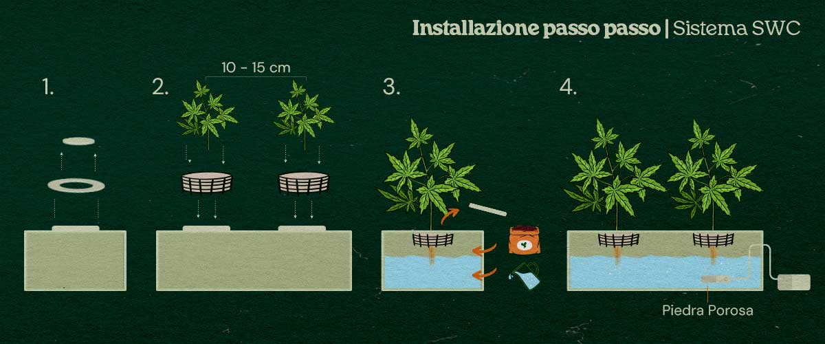 Hoe bouw je een shallow water culture kweeksysteem voor wietplanten? Hoe bouw je een shallow water culture kweeksysteem voor wietplanten?